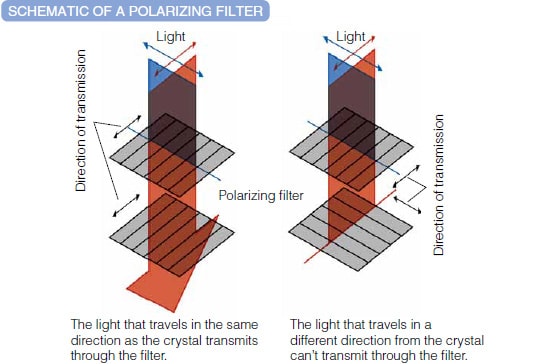 偏振滤光片示意图。与晶体沿同一方向传播的光通过滤光片。从晶体向不同方向传播的光不能通过滤光片。