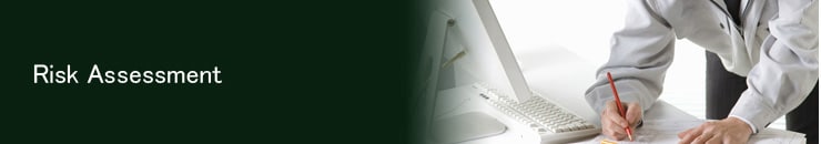 Risk Assessment Process