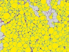 在相同条件下分批测量