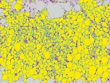 在相同条件下分批测量