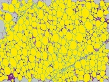 在相同条件下分批测量