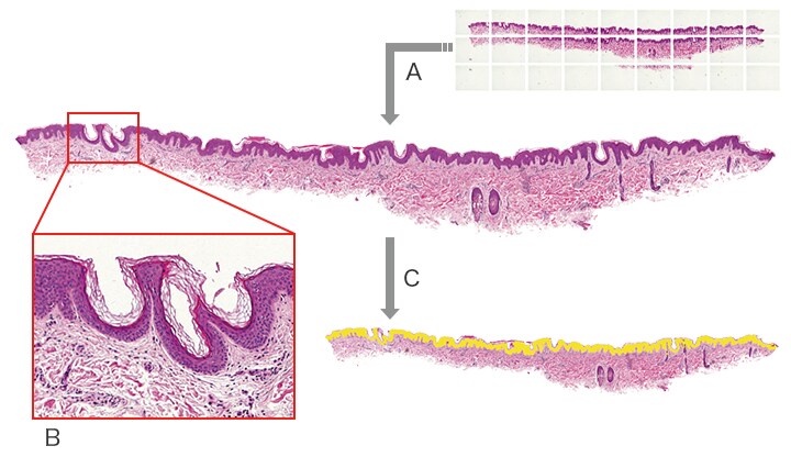 高速、高分辨率图像拼接