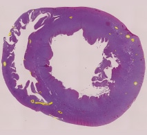 在相同条件下批量测量