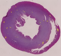 在相同条件下批量测量