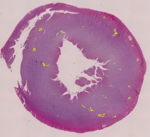 在相同条件下批量测量