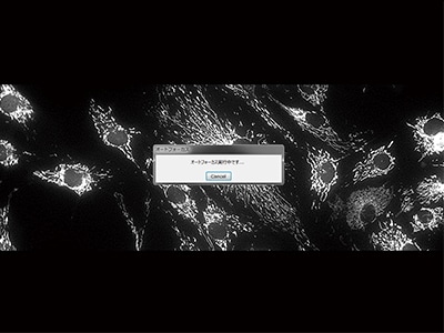 高速处理，高灵敏度部分扫描