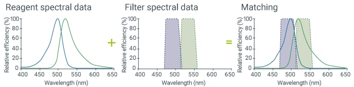 将荧光过滤器与试剂匹配。