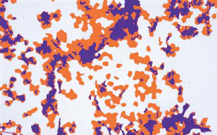 胶带剥离的Stratum Corneum评估