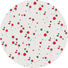 Batch measurement under the same conditions