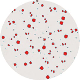 Batch measurement under the same conditions