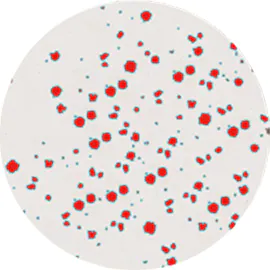 Batch measurement under the same conditions