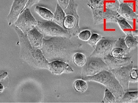 的目标是要搬出去的视野。