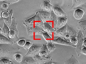 图像捕获恢复使用更新后的位置。