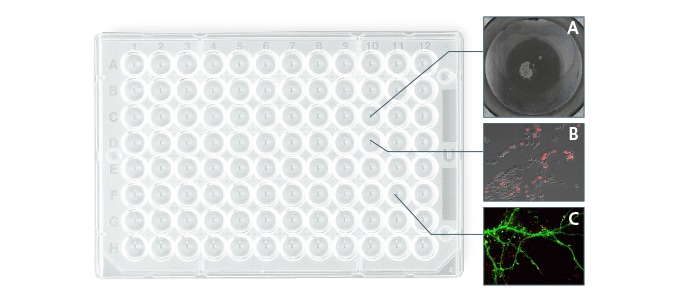 协调具体条件设置
