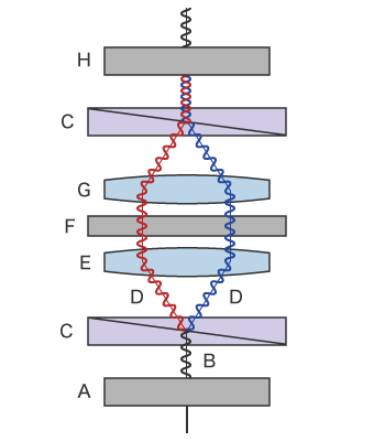 差分干涉对比观测原理图