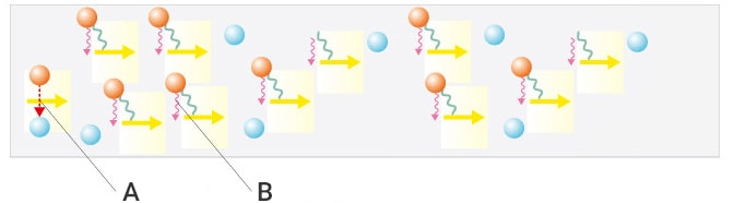 处于居群反转态的电子