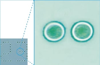 3轴YVO4激光标记MD-V9900A系列