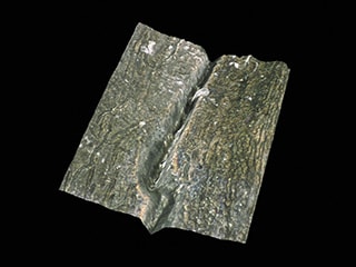 模具裂纹三维形状显示(200x)