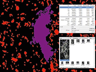 铸件表面面积的自动测量