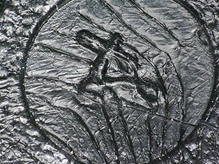 多功能照明(100倍)