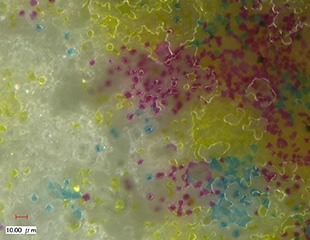 观察和分析打印机印刷质量和组件