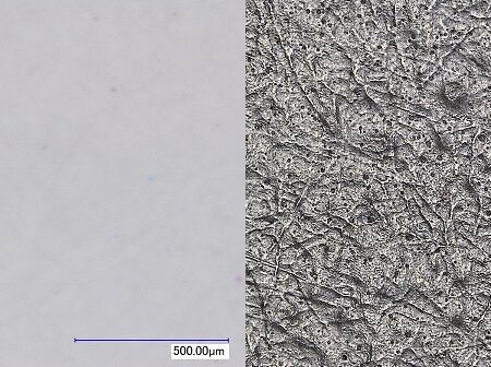 左：正常/右：可调照明