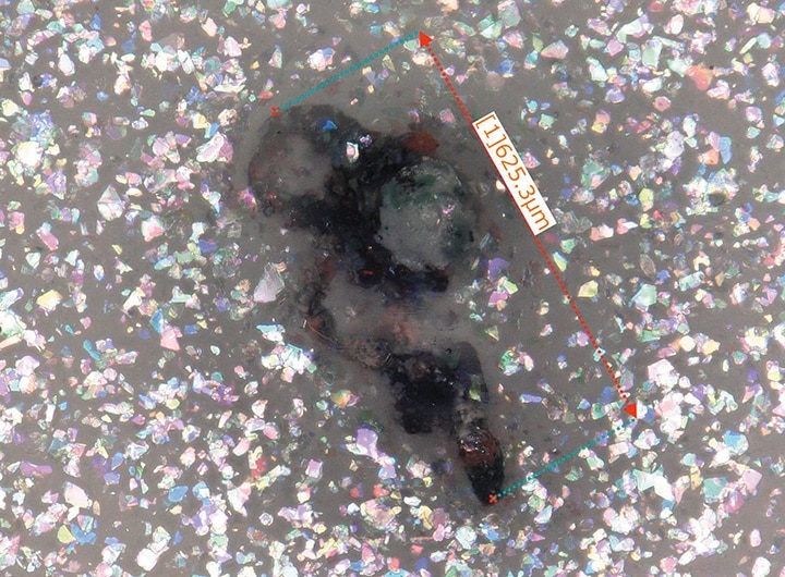 引起粗糙表面的外来颗粒的高倍观察和测量