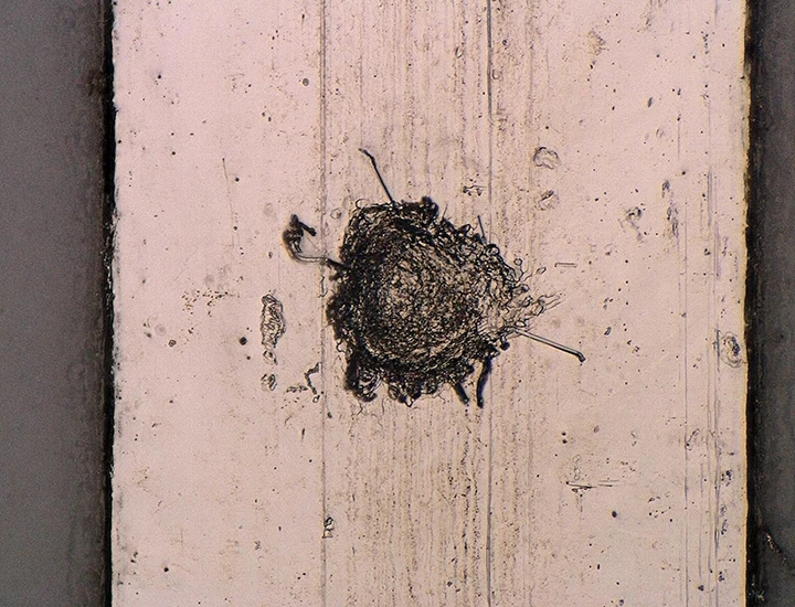 使用VHX系列4K数字显微镜观察连接器上的锡须