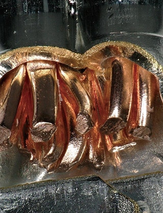 使用深度合成的全聚焦图像(100x)