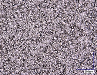 乳液的观察(1000倍)