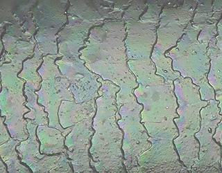 用光学阴影效果模式观察角质层