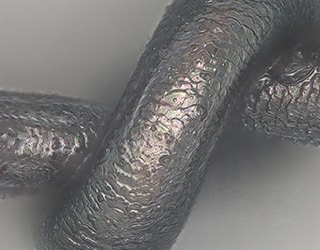 正常的头发(1000倍)