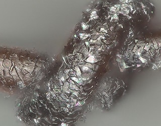 受损的头发(1000倍)