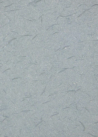 传统的显微镜(200倍)