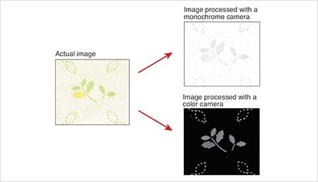 实际图像>使用单色相机 /图像处理的图像用彩色相机处理