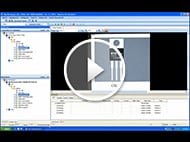 第1部分:模式搜索